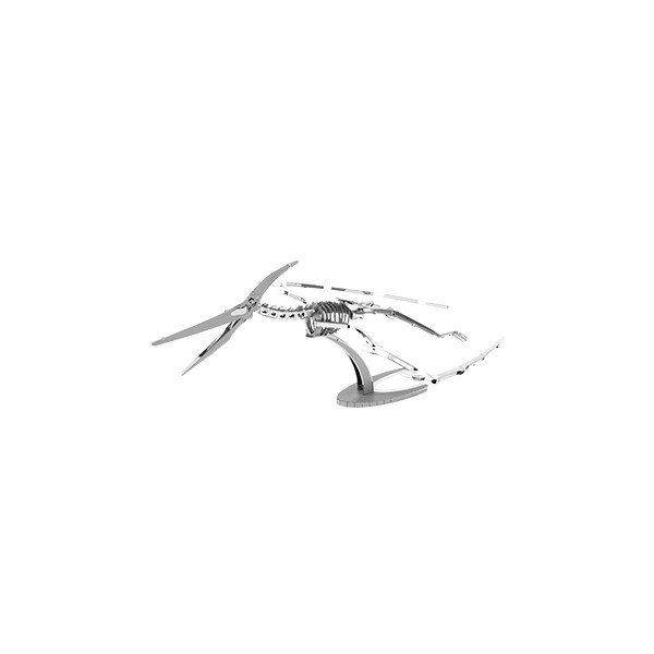 Model Pteranodon Skeleton