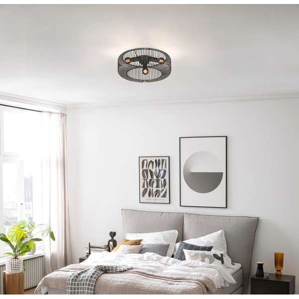 Černé stropní svítidlo Cage – Fischer & Honsel-image-1