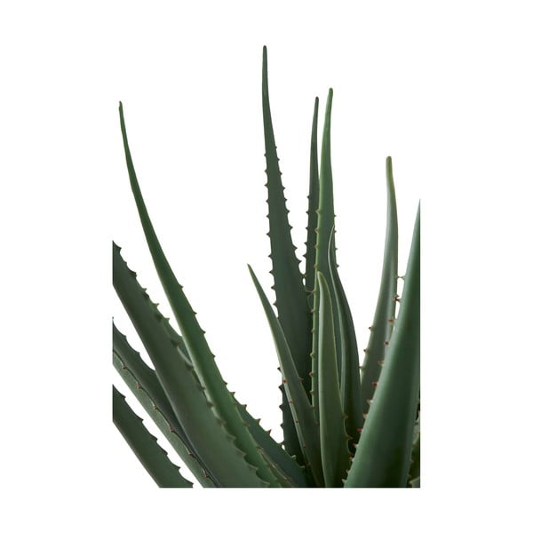 Umělá rostlina (výška 51 cm) Aloe Vera – House Nordic-image-3