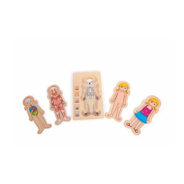 Dřevěná hračka Legler Anatomy Girl