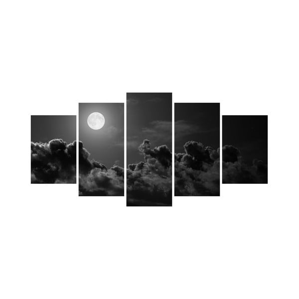 Vícedílný obraz Black&White no. 83, 100x50 cm
