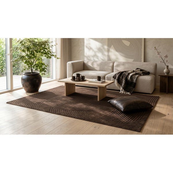 Hnědý koberec 120x170 cm Zephyr – ESTE-image-4
