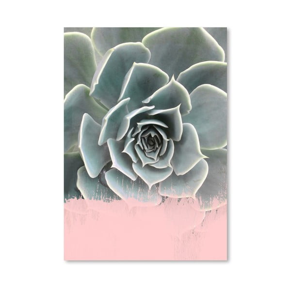 Plakát Americanflat Pink On Succulent, 30 x 42 cm