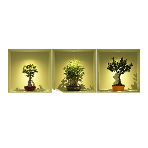 Sada 3 samolepek s 3D efektem Ambiance Bonsai Trees On Spot-image-1