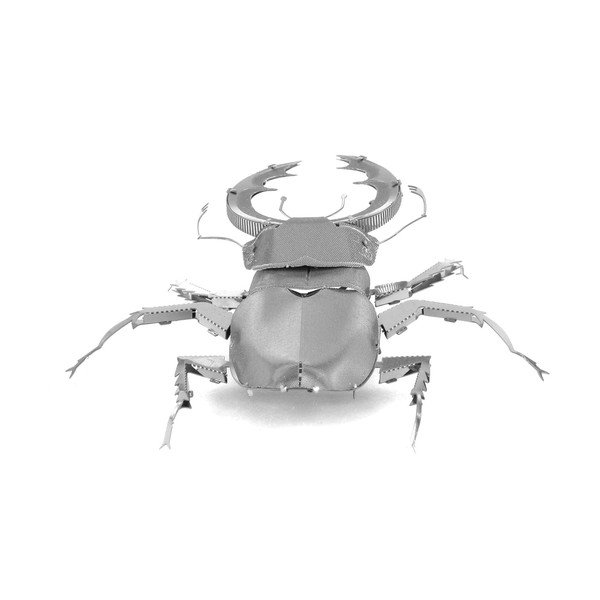 Model Stag Beetle-image-4
