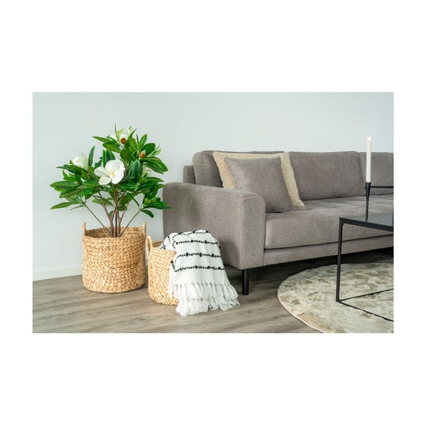 Košíky v sadě 2 ks z vodního hyacintu ø 35x37 cm Passo – House Nordic-image-1