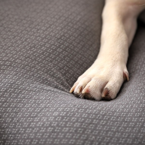 Světle šedý pelíšek pro psa 50x38 cm Graphene – Love Story-image-2