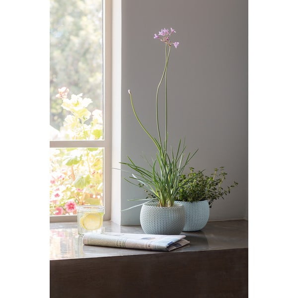 Plastové květináče v sadě 3 ks ø 15 cm Cozy – Keter-image-3