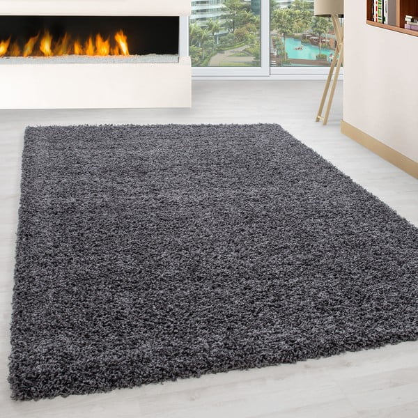 Tmavě šedý koberec 80x150 cm Life – Ayyildiz Carpets-image-1