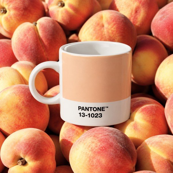 Broskvový porcelánový šálek na espresso 120 ml Peach Fuzz 13-1023 – Pantone-image-1