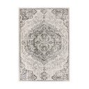 Šedo-krémový koberec 200x290 cm Nova – Asiatic Carpets