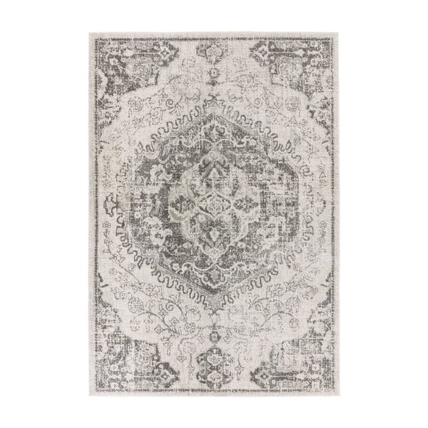 Šedo-krémový koberec 200x290 cm Nova – Asiatic Carpets
