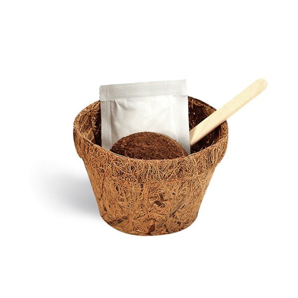 Pěstitelský set se semínky čtyřlístku Gift Republic Good Luck-image-1