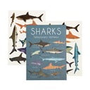 Dočasná tetování 2 ks Sharks – Rex London
