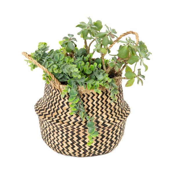 Úložný košík z mořské trávy Compactor Zic Zac, ⌀ 27 cm-image-2