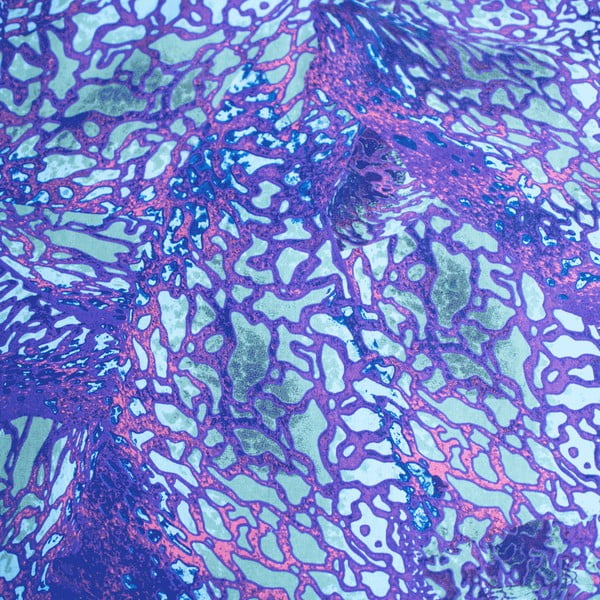 Modré bavlněné dětské povlečení na jednolůžko 140x200 cm How To Train Your Dragon – Jerry Fabrics-image-4