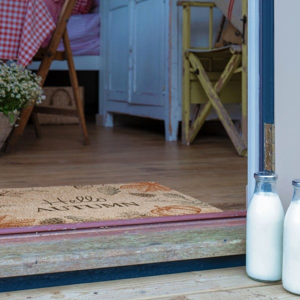 Rohožka z kokosového vlákna 40x60 cm Hello Autumn – Artsy Doormats-image-4