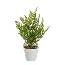 Umělá kapradina (výška 45 cm) – Casa Selección