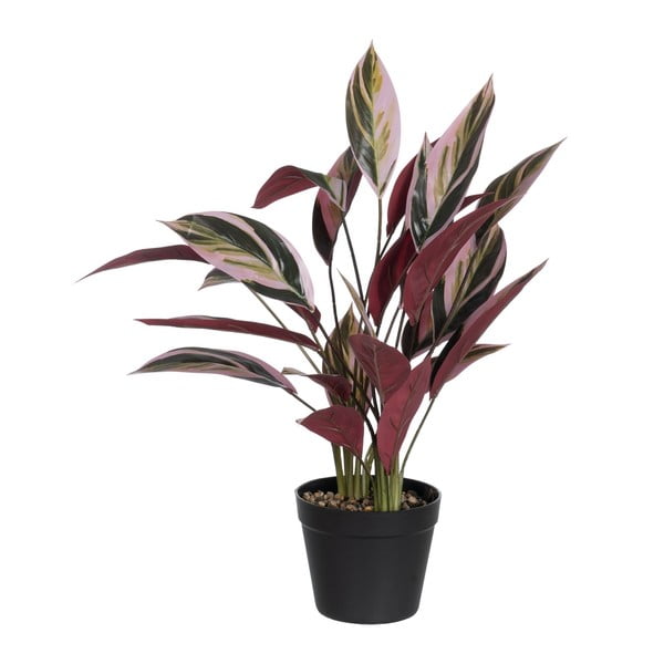 Umělá rostlina (výška 55 cm) Bird of Paradise – Ixia