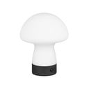 Matně bílá LED stolní lampa se skleněným stínidlem (výška 18 cm) Dooley – Reality