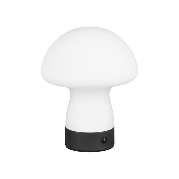 Matně bílá LED stolní lampa se skleněným stínidlem (výška 18 cm) Dooley – Trio