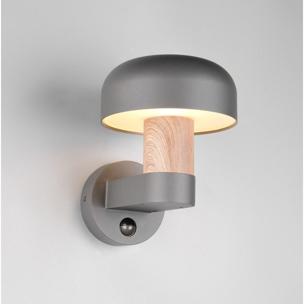 Nástěnné venkovní svítidlo (výška 24,5 cm) Fraser – Trio-image-1