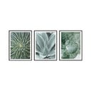 Obrazy v sadě 3 ks 30x40 cm – knor