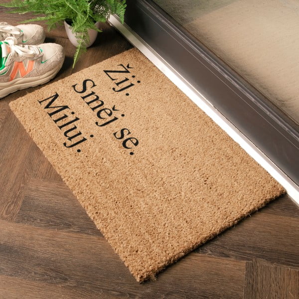 Rohožka z kokosového vlákna 40x60 cm Žij a Miluj – Artsy Doormats-image-1