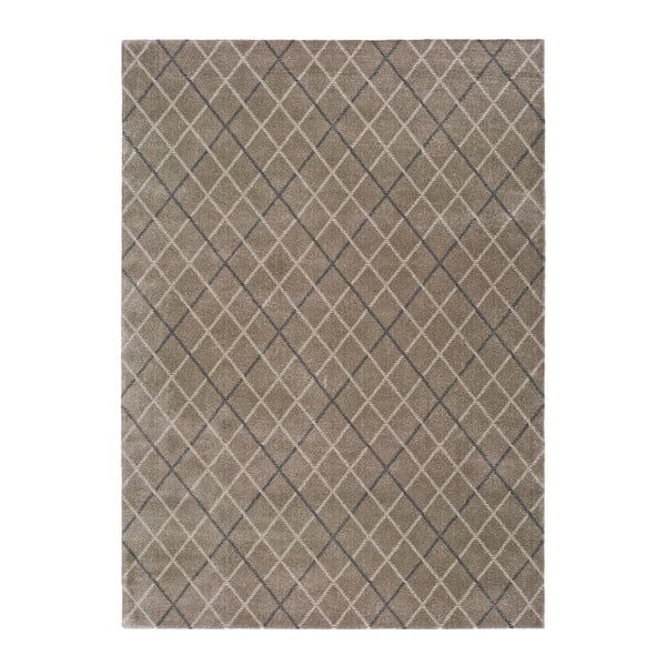 Šedý koberec vhodný i na ven Universal Sofie Silver, 120 x 170 cm