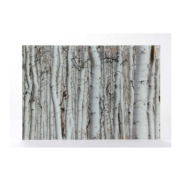 Skleněný obraz Amadeus Winter Forest