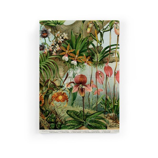 Obraz na plátně Surdic Jungle Flowers, 40 x 60 cm