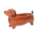 Porcelánová dekorativní mísa 5x14 cm Sausage Dog – Sass & Belle