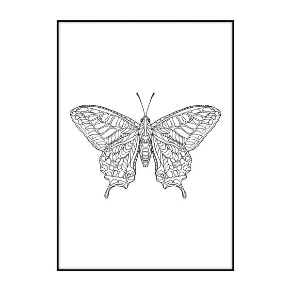 Plakát Imagioo Butterfly, 40 x 30 cm
