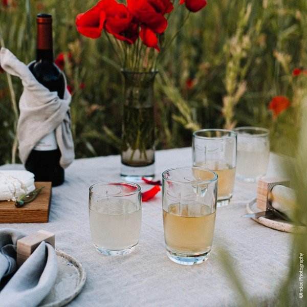 Sklenice La Rochère Libellules, objem 350 ml-image-2