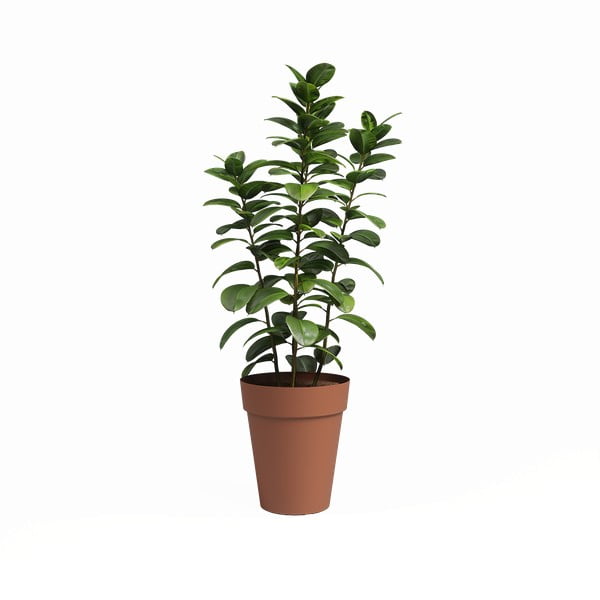 Květináč z recyklovaného plastu ø 40 cm Capri – Artevasi-image-1