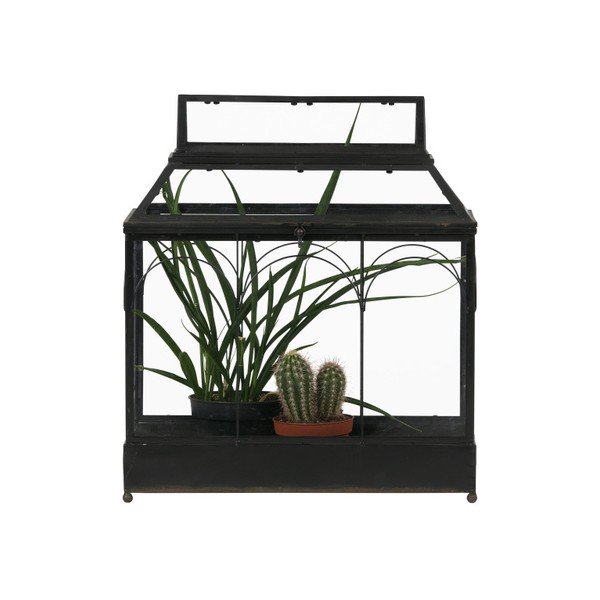Terárium na květiny BePureHome Grow-image-1