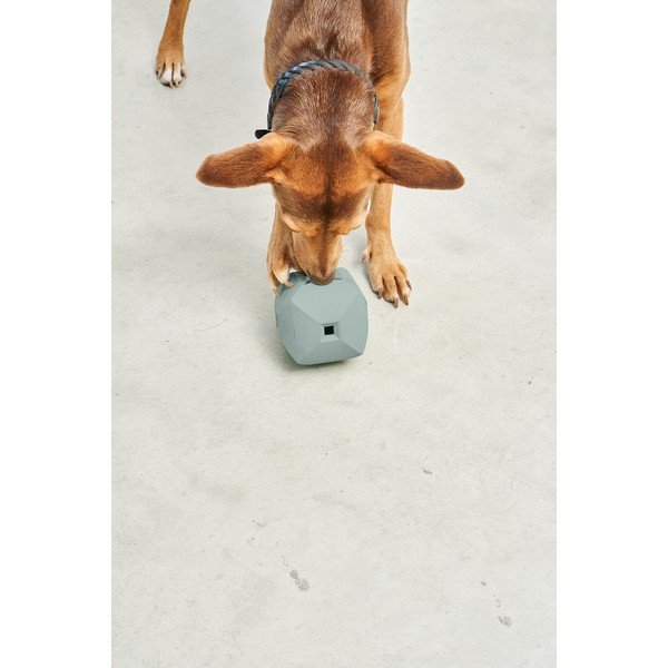 Hračka pro psa Dado Eucalyptus – MiaCara-image-3