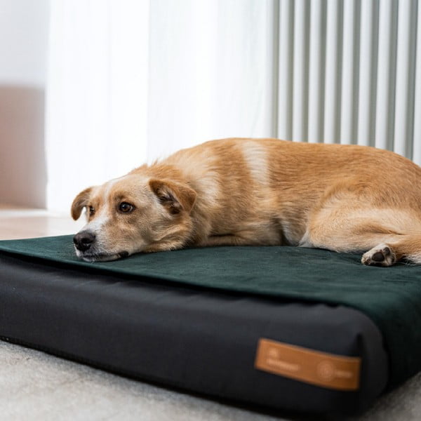 Černá ortopedická matrace pro psa 90x70 cm Ori XL – Rexproduct-image-2