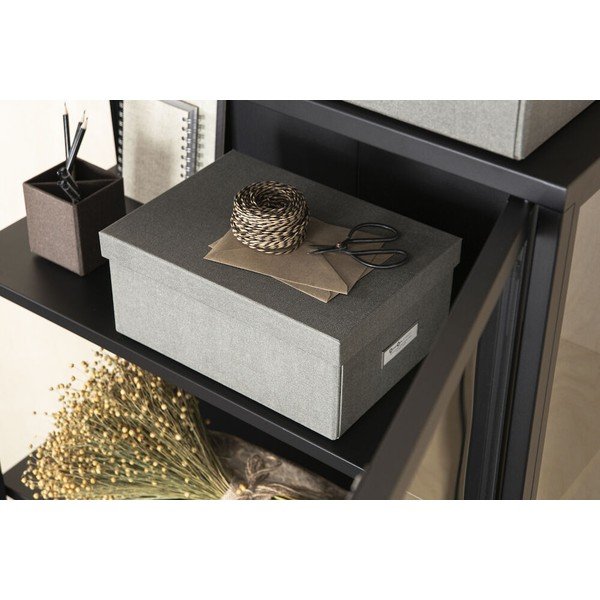 Úložný box s víkem Karin – Bigso Box of Sweden-image-1