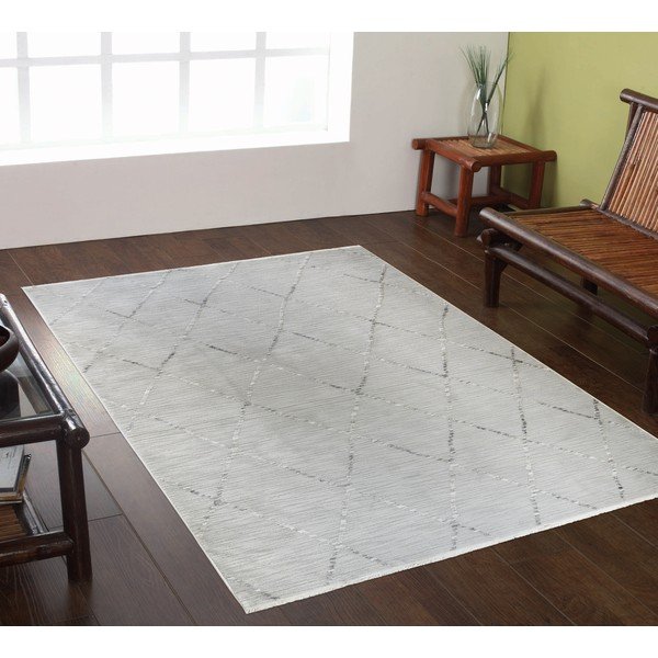 Šedý koberec 80x150 cm Jaipur – Webtappeti-image-1