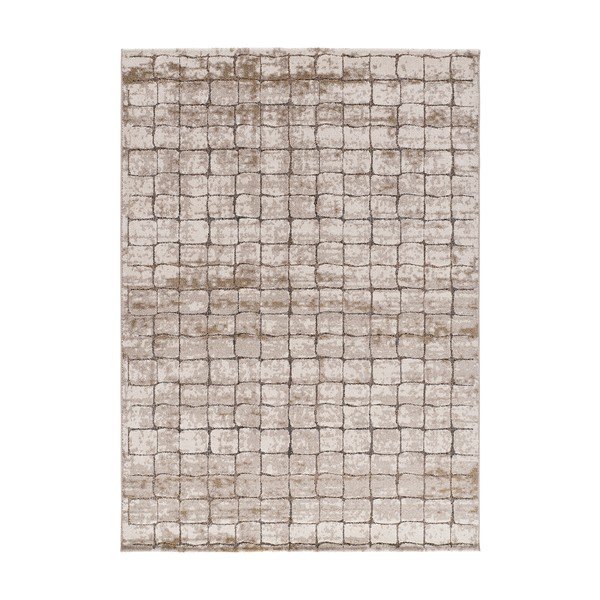 Šedobéžový koberec 80x120 cm Ceres – Universal