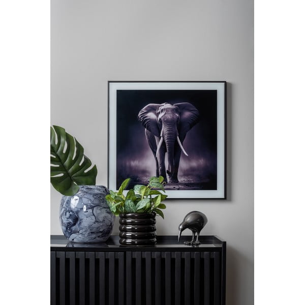 Obraz 50x50 cm  Elephant  – PT LIVING-image-1