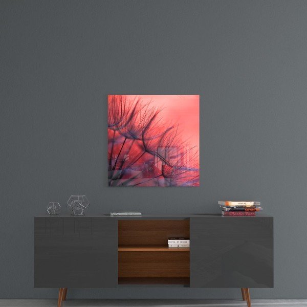 Skleněný obraz Insigne Red Dandelion, 40 x 40 cm-image-1