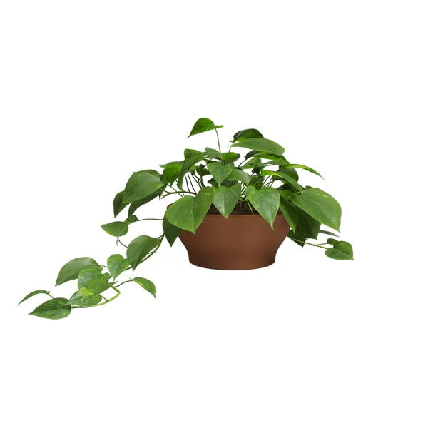 Květináč z terakoty ø 23 cm Saramago – Artevasi-image-2