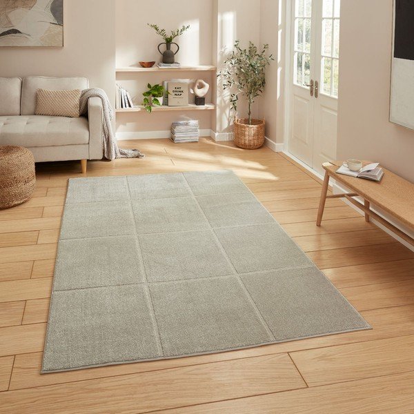 Světle šedý koberec 120x170 cm Elio Silver – Think Rugs-image-1