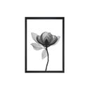Obraz 24x29 cm Harmony Flower – Vavien Artwork