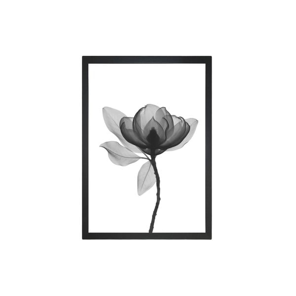 Plakát 24x29 cm Harmony Flower – Tablo Center