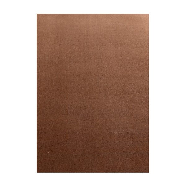 Hnědý pratelný koberec 140x200 cm Sky – Ayyildiz Carpets