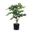 Umělá rostlina (výška 60 cm) Fig – House Nordic