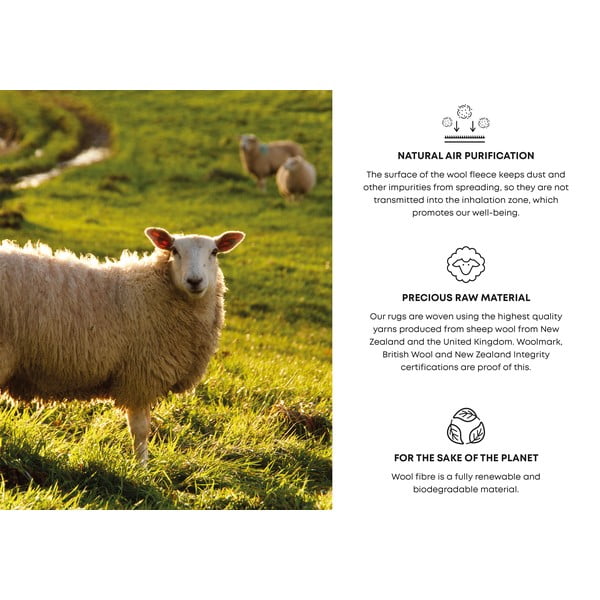 Tmavě šedý vlněný koberec 200x300 cm Bran – Agnella-image-4